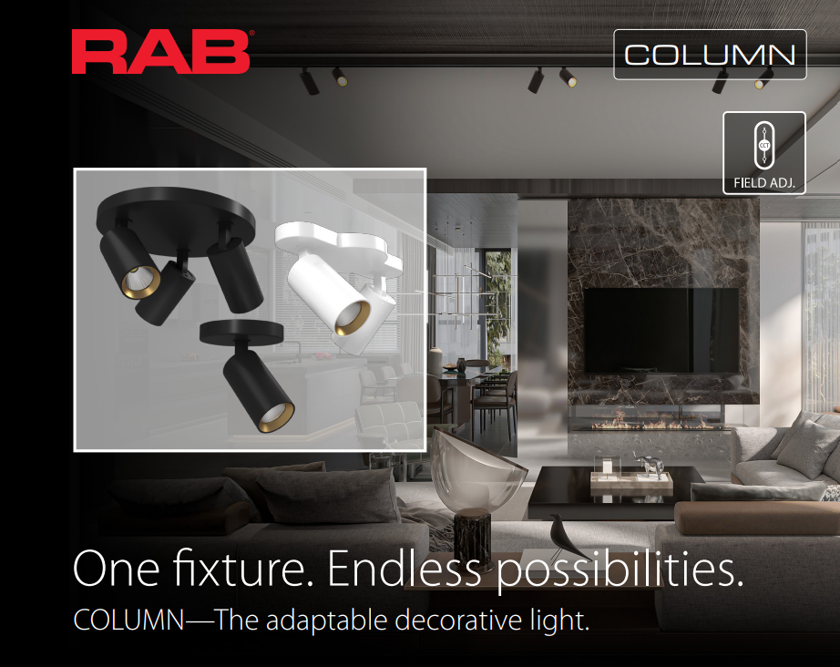 RAB COL12LM2 COLUMN Linear Ceiling Spotlight – Dual Head – Selectable 3000K/4000K/5000K – 1068-1135 Lumens – 120V – 36° Beam Angle – White Finish