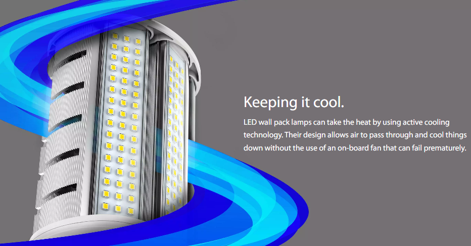 RAB HIDFA-20S-H-E26-8CCT-BYP HIDFA Wall Pack LED Retrofit Lamp – Type B Bypass – Selectable 5W/10W/20W – Selectable 3000K/4000K/5000K – E26 Medium Base – 120-277V – 800-3200 Lumens