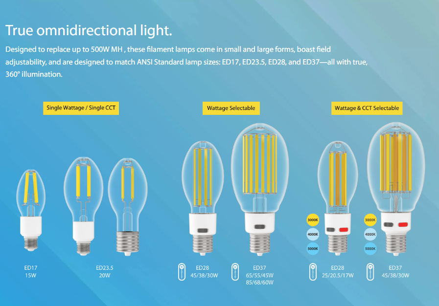 RAB FHID-15-E26-850 FHID Filament HID LED Lamp – ED17 – 15W – 5000K – E26 Medium Base – CRI80 – 120-277V – 2700 Lumens