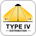 Type IV Distribution