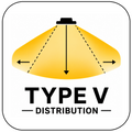 Type V Distribution