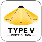 Type V Distribution