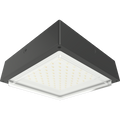 RAB VAN34-90/480 VAN34 Vandal Resistant LED Canopy Light – 70W-90W Selectable – 3000K/4000K/5000K Selectable – 10077-13588 Lumens – 480V – Drop Clear Lens – Bronze Finish