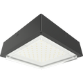 RAB VAN34-60/MVS VAN34 Vandal Resistant LED Canopy Light – 40W-60W Selectable – 3000K/4000K/5000K Selectable – 5965-9266 Lumens – 120-277V – Drop Clear Lens – Multi-Level Motion Sensor – Bronze Finish