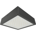RAB VAN34-30F/E VAN34 Vandal Resistant LED Canopy Light – 10W-30W Selectable – 3000K/4000K/5000K Selectable – 1584-4588 Lumens – 120-277V – Flat Clear Lens – Emergency Battery Backup – Bronze Finish
