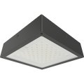 RAB VAN34-60F/MVS/E VAN34 Vandal Resistant LED Canopy Light – 40W-60W Selectable – 3000K/4000K/5000K Selectable – 5965-9266 Lumens – 120-277V – Flat Clear Lens – Multi-Level Motion Sensor – Emergency Battery Backup – Bronze Finish