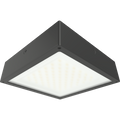 RAB VAN34-30FFR/480 VAN34 Vandal Resistant LED Canopy Light – 10W-30W Selectable – 3000K/4000K/5000K Selectable – 1584-4588 Lumens – 480V – Flat Frosted Lens – Bronze Finish