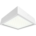 RAB VAN34-60FFRW/E VAN34 Vandal Resistant LED Canopy Light – 40W-60W Selectable – 3000K/4000K/5000K Selectable – 5965-9266 Lumens – 120-277V – Flat Frosted Lens – Emergency Battery Backup – White Finish