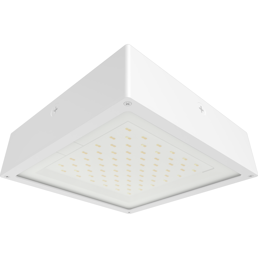 RAB VAN34-30FW VAN34 Vandal Resistant LED Canopy Light – 10W-30W Selectable – 3000K/4000K/5000K Selectable – 1584-4588 Lumens – 120-277V – Flat Clear Lens – White Finish
