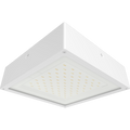 RAB VAN34-90FW VAN34 Vandal Resistant LED Canopy Light – 70W-90W Selectable – 3000K/4000K/5000K Selectable – 10077-13588 Lumens – 120-277V – Flat Clear Lens – White Finish
