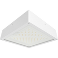 RAB VAN34-90FW/MVS VAN34 Vandal Resistant LED Canopy Light – 70W-90W Selectable – 3000K/4000K/5000K Selectable – 10077-13588 Lumens – 120-277V – Flat Clear Lens – Multi-Level Motion Sensor – White Finish