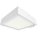 RAB VAN34-90W/480 VAN34 Vandal Resistant LED Canopy Light – 70W-90W Selectable – 3000K/4000K/5000K Selectable – 10077-13588 Lumens – 480V – Drop Clear Lens – White Finish
